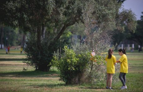 לזכר חלל צה"ל: לרוץ בין ג'ירפות וקופים בספארי